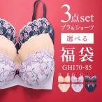 ブラジャー ショーツ セット 3点 中身が見える福袋 GHI 大きいサイズ グラマーサイズ -ST01