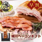  подарок по случаю конца года скидка за ранний заказ 10%OFF![ бесплатная доставка ] замок река бекон GIFT[ блок бекон (1kg)]