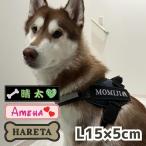  большой собака нашивка имя ввод Harness Julius k9 идентификационная бирка собака вышивка именная бирка хаски золотой 