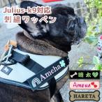  собака Harness идентификационная бирка имя ввод Julius k9 именная бирка нашивка вышивка оригинал julius-k9 товар гарантия Truelove