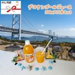 デコタンゴール 500ml×12本入 伯方果汁 オレンジジュース 愛媛 ストレート 無添加 瓶 果汁100% 母の日 ギフト プレゼント 父の日 御中元 御歳暮 お祝
