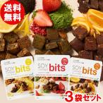 SOY Concept bits(ソイコンセプトビッツ)プロテイン(3種セット) 長良園 メール便送料無料の場合代引・同梱不可