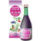 野草野菜果物発酵原液 ユアラーゼ・ブルーベリー＋（500ml） ミヤトウ野草研究所