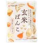 小麦不使用パン粉 国内産玄米使用 玄米ぱんこ（100g） 桜井食品