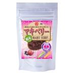 Yahoo! Yahoo!ショッピング(ヤフー ショッピング)マキベリー粉末（50g） 健康フーズ