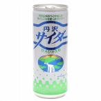 丹沢サイダー（250ml） 創健社