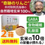 奇跡の酵素玄米粉 木村式自然栽培玄米使用（120g（4g×30本））2箱セット マルセイ 4g入4本プレゼント付