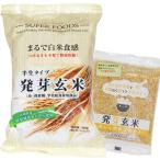 半生タイプ発芽玄米（
