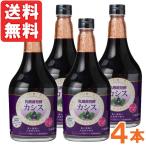 乳酸菌発酵カシス＜5倍希釈＞（565ml