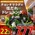 ドレッシング 個包装 送料無料 チョレギサラダの塩だれドレッシング 10包 チョレギ サラダ おつまみ 塩味 あっさり 簡単 韓国グルメ 居酒屋 お通し