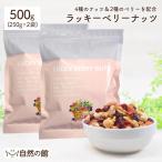 ショッピングナッツ ミックスナッツ ラッキーベリーナッツ 500g(250g×2) 送料無料 無塩 ナッツ ロカボ くるみ カシューナッツ アーモンド クランベリー