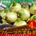 新玉ねぎ 送料無料 産地直送 淡路島産 フルーツ新玉ねぎ 4kg (M〜Lサイズ15〜22個程度)【同梱不可】 フルーツ玉ねぎ 玉葱 玉ねぎ