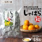 【今だけ★クーポンSALE開催中】飴 じゃばら飴 240g(約48粒)  送料無料 個包装 和歌山県北山村産 邪払 数量確定