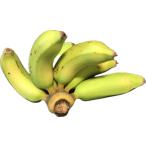  Ishigakijima производство banana остров banana 