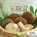 【送料込】玉取杉山農園の生しいたけ「玉取茸」300gパック
