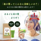 ショッピングパウダー 桑の葉茶 粉末 国産 青汁 桑の葉茶 100g 桑葉 パウダー くわの葉　