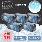 冷感マスク 不織布 50枚 クールマスク 接触冷感 プリーツ 5箱 夏用 ふつう 三層 冷たい 涼しい 爽快 冷却 涼しい ひんやり ヒロコーポレーション レビュー特典