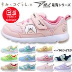 2足セットで7920円 すみっコぐらし 靴 スニーカー シューズ 瞬足 アキレス 通園 通学 しろくま ねこ とかげ ぺんぎん 子供 250 256