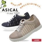 pa-tam спортивные туфли резина шнур женский casual черный бежевый a олень ru обувь обувь 