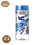 送料無料 ビッグマン 20度 220ml×30本 カップ 合同酒精 焼酎甲類 ビックマン