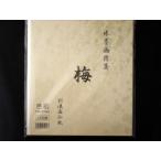 水墨画用紙　梅　色紙　練習用100枚