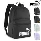  Puma phase рюкзак (22L) 091164 черный * мята * лаванда рюкзак рюкзак сумка сумка портфель puma Puma 91164