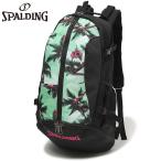 32L Spalding спорт мужской женский Kei ja- Thai большой Rainbow pa-m tree баскетбол аксессуары состязание сумка сумка 40-007PA