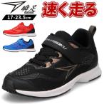 ショッピング瞬足 瞬足 スニーカー キッズ 靴 黒 ブラック 青 ブルー 赤 レッド 人気 ブランド 運動 通気性 通学 普段履き  S-AXELRATER JJ-216 シュンソク
