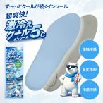 インソール 冷たい 中敷き 立ち仕事 安全靴 サイズ調整 作業 接触冷感 超爽快 激冷え 快適 -5℃ 涼しい dw-261