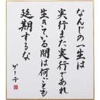 偉人の名言「なんじの一生は実行また実行であれ　生きている間は何ごとも延期するな」手書き色紙