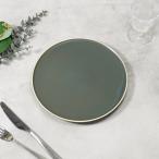 大皿 25cm 2点セット 常盤 ときわ 食