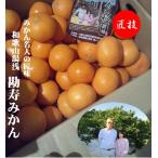  Wakayama префектура Arita ... человек произведение .. мандарин 4kg1 коробка *11 месяц последняя декада c доставка..