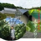 [ прямая поставка от производителя!!] префектура Okayama город Okayama север район производство пара . дыня 1 шар (1.4kg~1.6kg)