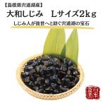 shi..2kg. дорога озеро Yamato корбикула L размер прямая поставка от производителя ваш заказ подарок 