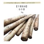  зима корова .1kg Chiba префектура производство ak. немного нет мягкий.. тест вдоволь. gobou .... нет японский еда . прямая поставка от производителя зима овощи .