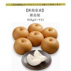  новый высота груша примерно 3kg(4~9 шар ) Niigata префектура производство химия удобрение не использование [ неочищенный рис чёрный уксус & йогурт ] в зависимости скидка . осуществлен первоклассный иметь целью тест ....... нет японский еда . прямая поставка от производителя * надеты день указание не возможно 