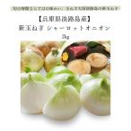  новый шар лук порей 2kg Awaji Island лук репчатый Charlotte oni on иметь машина удобрение прямая поставка от производителя ваш заказ подарок 