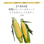 朝穫れスーパースウィートとうもろこし バイカラー12本 千葉県産 朝のしずくと、感動の甘さ。朝穫れとうもろこし 皆が知らない日本の食宝 トウモロコシ コーン