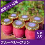 ショッピングフードロス 【農家さんを応援】贈っても贈られても嬉しい、食べても美味しい洋生菓子。ブルーベリープリン（1箱6個入り）
