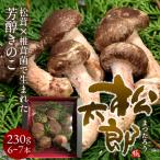 松太郎 きのこ 松茸×椎茸菌 芳醇キノコ［優品］まつたろう 230g（6〜7本）伊勢の国 三重県産［冬ギフト 2024 バレンタイン］