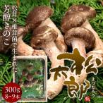 松太郎 きのこ 松茸×椎茸菌 芳醇キノコ［優品］まつたろう 300g（8〜9本）伊勢の国 三重県産［冬ギフト 2024 バレンタイン］
