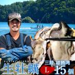生牡蠣殻付きL15個生食用生ガキ宮...