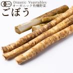  иметь машина овощи gobou половина корова . Япония сельское хозяйство . стандарт JAS органический bejitabru смузи кулинария материал .. . материал [ осенний тест . подарок ]