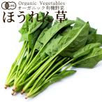  иметь машина овощи шпинат 150g howe объединенный Япония сельское хозяйство . стандарт JAS органический bejitabru смузи кулинария материал .. . материал [ осенний тест . подарок ]