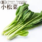  иметь машина овощи шпинат комацуна 150g волчок .. Япония сельское хозяйство . стандарт JAS органический bejitabru смузи кулинария материал .. . материал [ осенний тест . подарок ]