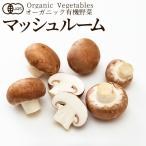  иметь машина овощи Brown гриб 100g.. . Япония сельское хозяйство . стандарт JAS органический bejitabru смузи кулинария материал .. . материал [ осенний тест . подарок ]