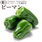  иметь машина овощи зеленый перец 120g Япония сельское хозяйство . стандарт JAS органический bejitabru смузи кулинария материал .. . материал [ осенний тест . подарок ]