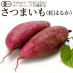  иметь машина овощи батат (.. ..)500g Satsuma клубень Япония сельское хозяйство . стандарт JAS органический bejitabru смузи кулинария материал .. . материал [ осенний тест . подарок ]