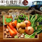  японский иметь машина овощи комплект [11 вид ].. случайный вся страна . данный земля производство человек. предубеждение иметь машина культивирование органический bejitabru смузи пищевые ингредиенты [ осенний тест . подарок ]