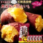 ya... батат ..... san 300g×5 пакет входить Ishikawa префектура производство Kanazawa город .. остров золотой час .. осень овощи Satsuma клубень [ осенний тест . подарок ]